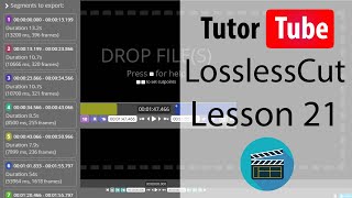 LossLessCut Tutorial  Lesson 21  Convert to Supported Format [upl. by Sidnak]