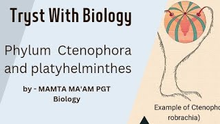 Phylum Ctenophora and platyhelminthes by Mamta maam PGT biology trystwithbiology8806 [upl. by Acsirp125]