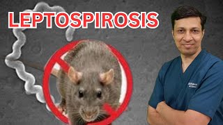 Leptospirosis lecture in hindi Leptospirosis treatment Weils disease in hindi [upl. by Atiniuq]