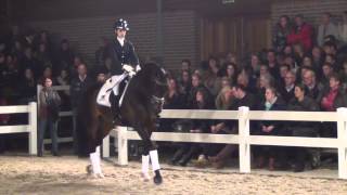 Ferdeaux kwpn  Bordeaux X Ferro  Stallion Show Van Uytert 2014 [upl. by Lucho]