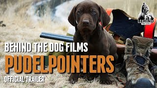 Inside the World of Pudelpointers  Behind the Dog Films Official Trailer [upl. by Thera734]