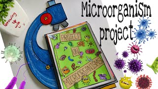 Project on Microorganisms l Grade 8 [upl. by Vincents]