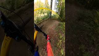 Some easy tech and flow mtb bike gopro [upl. by Tarttan]