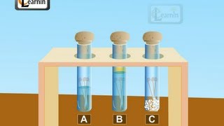 Corrosion and rust Science [upl. by Arehs621]