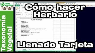 Cómo hacer un HERBARIO 🍃🍀  55  Llenado de TARJETA 📝 de IDENTIFICACIÓN de planta y muestra [upl. by Aruon818]