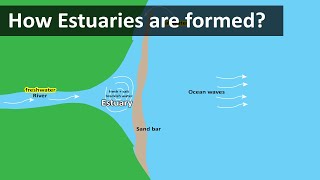 How Estuaries are formed  Coastal Estuary sandbar  Geography terms [upl. by Syah684]