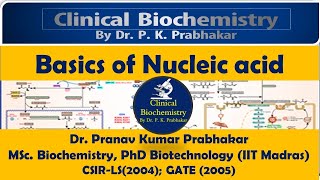 Basics of Nucleic Acids [upl. by Sherrod]