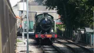 Dartmouth Steam Railway  4277 Hercules Panier tank loco  Paignton 100812 [upl. by Chi413]