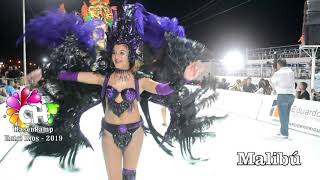 Carnaval de Hasenkamp  Entre Rios  2019 [upl. by Naresh]