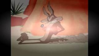 Wile E Coyote and The Road Runner episode 110 [upl. by Rabbaj799]