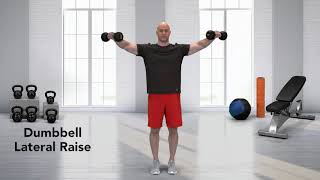 How to do a Dumbbell Lateral Raise [upl. by Ecinnahs176]