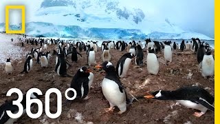 360° Antarctica  Unexpected Snow  National Geographic [upl. by Munshi]