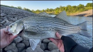 Spillway Fishing Topwater Madness [upl. by Nenad877]