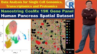 Nanostring CosMx 19K Gene Panel Human Pancreas Spatial Dataset [upl. by Noman]