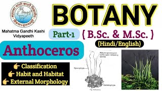 AnthocerosClassificationHabit and HabitatExternal MorphologyBSc 1st year BotanyBsc Bryophyte [upl. by Enna891]