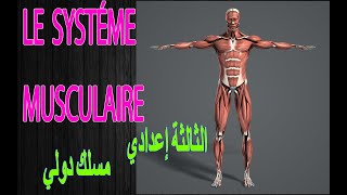 💪🏾💪🏾 le système musculaire  الثالثة اعدادي مسلك دولي  partie 1💪🏾💪🏾 [upl. by Omero]