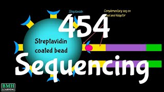 454 Sequencing  Pyrosequencing  Roche Sequencing  Roche 454 [upl. by Dlonyar]