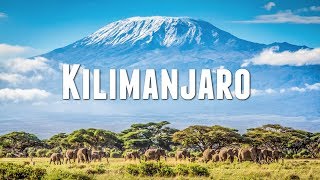 CLIMBING MOUNT KILIMANJARO [upl. by Ginelle]