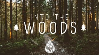 Into The Woods 🌲  A Mysterious FolkPop Playlist [upl. by Llerdnek]