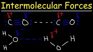 Intermolecular Forces  Hydrogen Bonding Dipole Dipole Interactions  Boiling Point amp Solubility [upl. by Roselin]