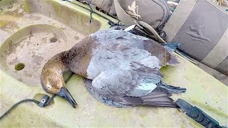 Duck Hunting 2019  My First Ever Canvasback [upl. by Levins]