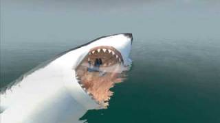 gmod shark attack [upl. by Ruff]