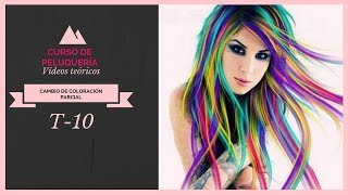 T10 CAMBIOS DE COLORACIÓN PARCIAL MECHAS VTP 🎀 sandranewlook [upl. by Mcginnis]