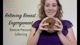 Relieving Breast Engorgement with Reverse Pressure Softening [upl. by Yzus610]