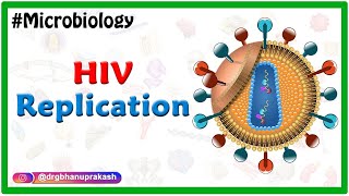 HIV Replication  Microbiology Medical Animations [upl. by Egwin347]