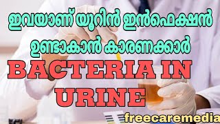 Urine test malayalamBacteria in urine urineinfection urinetest bacteria urine [upl. by Barthel114]