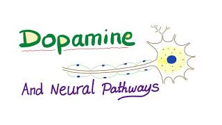 Neurotransmitters  Dopamine amp Dopaminergic Neural Pathways  Physiology amp Pharmacology [upl. by Ferwerda]