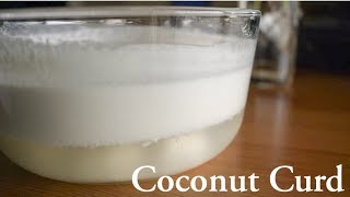 Coconut Milk curd Healthy Vegan Curd [upl. by Orapma686]