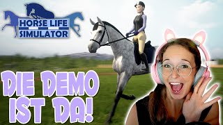 Mein erster Eindruck aus der Demo😱 🐴 Horse Life Simulator Demo [upl. by Fulks]