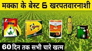 मक्का के बेस्ट 6 खरपतवारनाशी  laudis herbicide  sempra  basf tynzer herbicide  lodis  tinger [upl. by Braasch245]