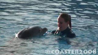 HD  Spectacle Dauphins  Delphinarium  Parc Astérix 12 [upl. by Yekcim612]