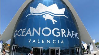 Valencia Oceanogràfic Tickets Price 2024 Belépő Mennyibe Kerül [upl. by Teage]