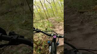 Cruisin in the trees shortvideo mtb mtblife mountainbikeskills mountainbike balance dh [upl. by Aldas]