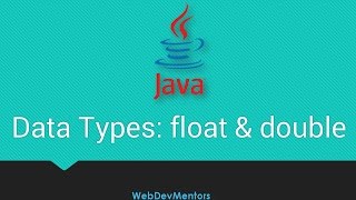 11Data Types float and double [upl. by Yelserp]