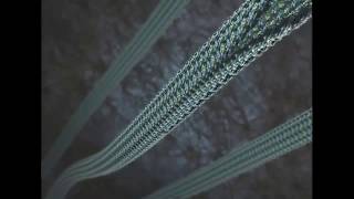 Microtubule Depolymerization [upl. by Annoirb139]