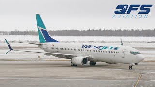 WestJet 737 800  Premium Class  Winnipeg YWG to Toronto YYZ  TRIP REPORT [upl. by Atwahs]