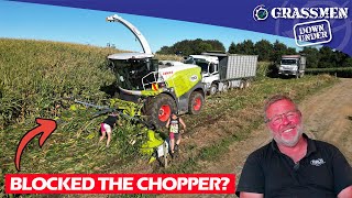 Finch Contracting Chopping Maize Silage In New Zealand 4 Chopping Crews amp A New JCB 457S [upl. by Aerdnahc322]