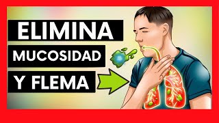 ✅ 5 VITAMINAS para descongestionar TUS PULMONES [upl. by Onnem]