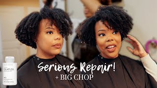 NEW Heart Shape CURLY CUT w BIG CHOP NATURAL HAIR JOURNEY 2022  Olaplex Natural Hair Repair [upl. by Nylekoorb476]