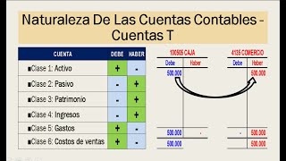 ✅Cómo Hacer ASIENTOS CONTABLES 🚀Facil Y Rapido  💲 Contabilidad Básica [upl. by Htedirem488]