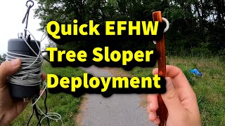 EFHW Tree Sloper Deployment  Chamelon EMCOMMII [upl. by Alitha]