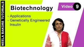 Biotechnology  NEET  Genetically Engineered Insulin  Neela Bakore Tutorials [upl. by Illek]