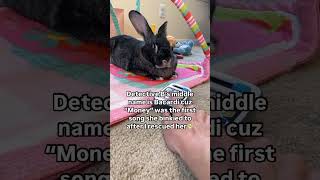 My Bunny’s Middle Name🐰bunny pets cardib [upl. by Esilanna]