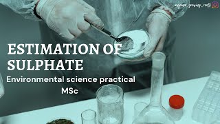 Estimation Of Sulphate In Water Sample  Environmental Science Practical  MSc [upl. by Nodnorb]