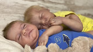 💙 72 HORAS con mis Bebés Reborn VLOG de Acampada con Dito y Lulo Levi de Bonnie Brown [upl. by Sew366]