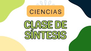 Clases Síntesis de Ciencias Prodemu [upl. by Littman]